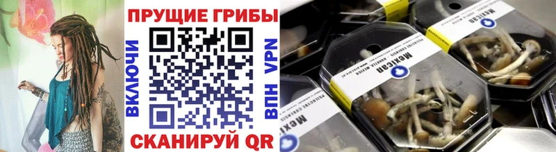 Псилоцибиновые грибы мицелий  Свирск 